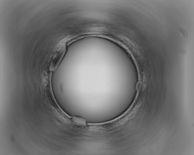 X0000112821449200908210950