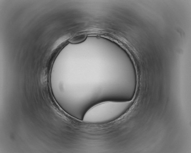 X0000112821450200908210950