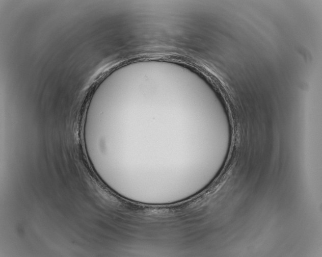 X0000112821451200908210950