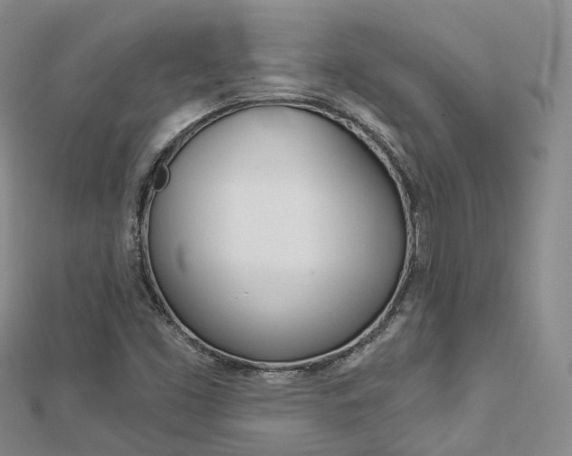 X0000112821453200908210950