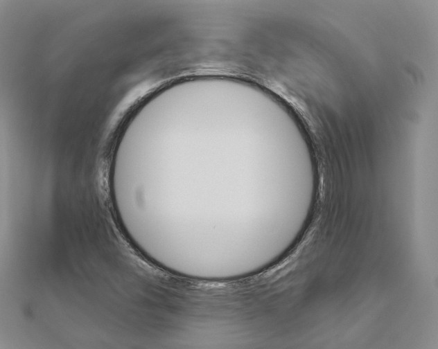 X0000112821454200908210950