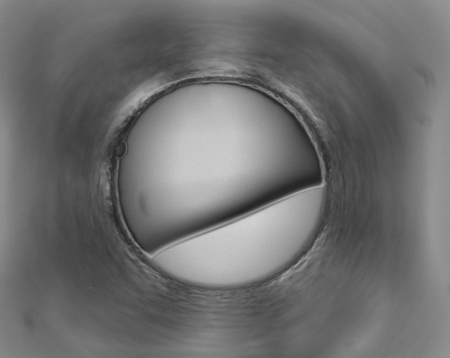 X0000112821455200908210950