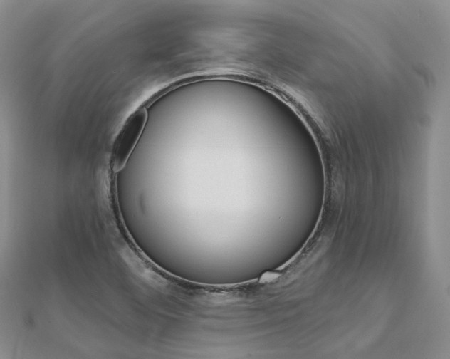 X0000112821460200908210950