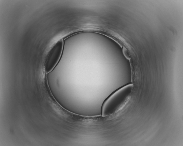 X0000112821461200908210950