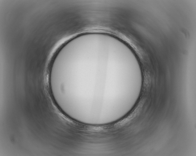 X0000112821462200908210950