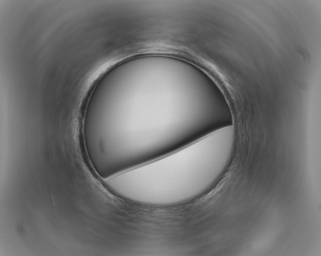 X0000112821463200908210950