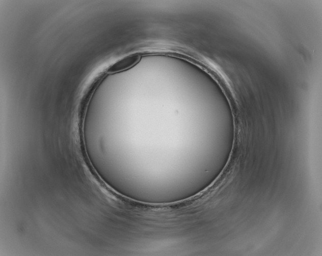X0000112821464200908210950