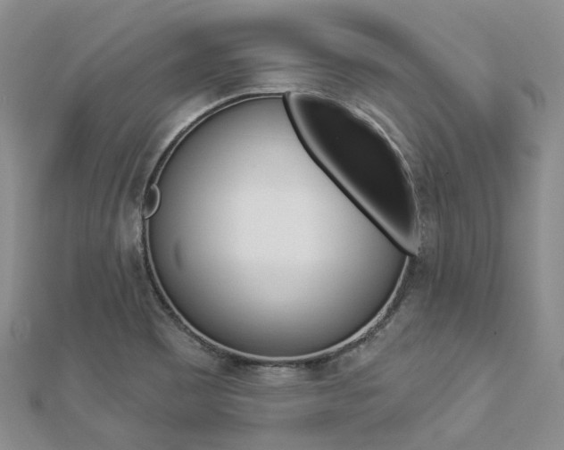 X0000112821465200908210950