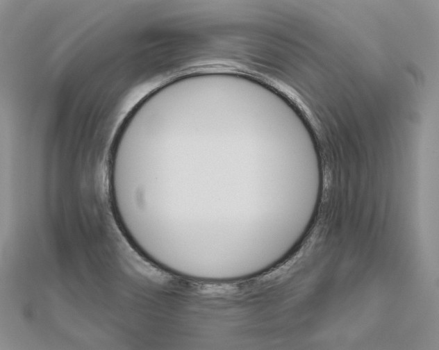 X0000112821466200908210950