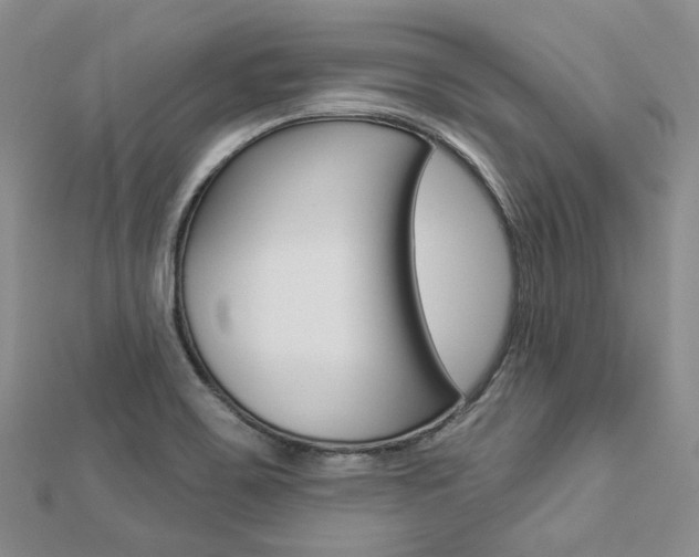X0000112821467200908210950