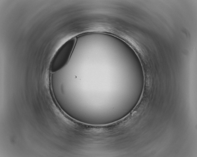 X0000112821468200908210950