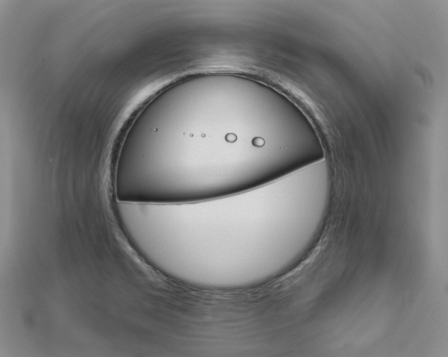 X0000112821469200908210950