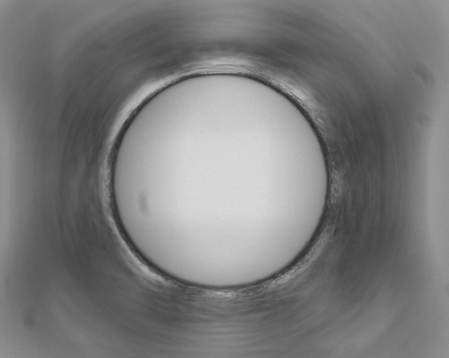 X0000112821470200908210950