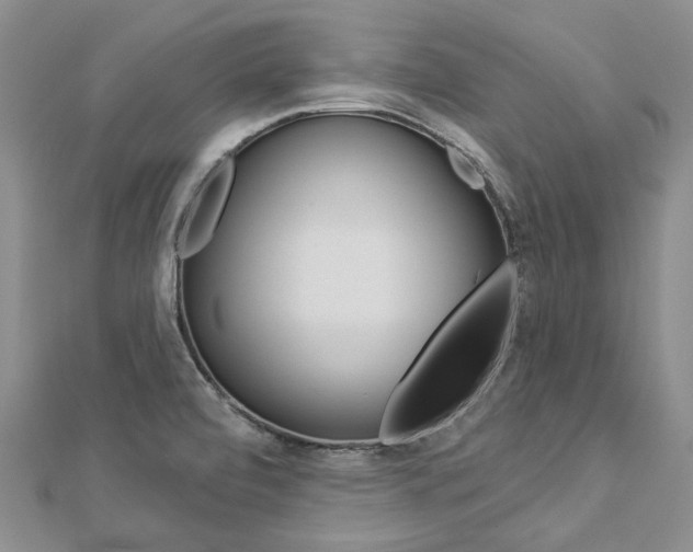 X0000112821472200908210949