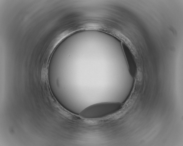 X0000112821473200908210949