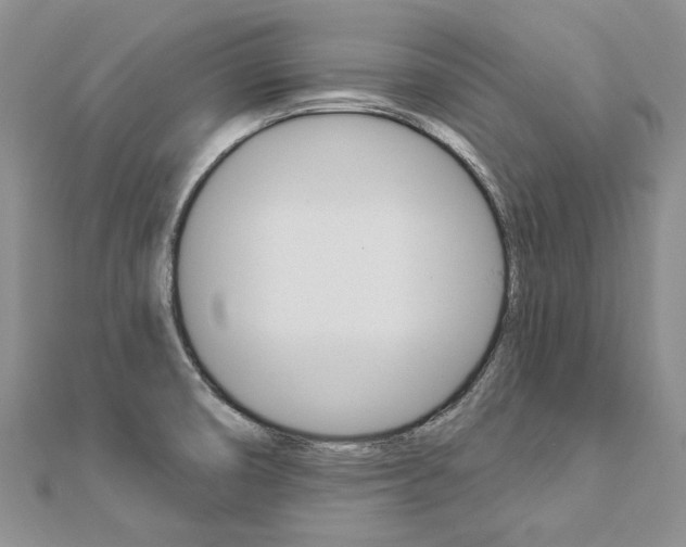 X0000112821474200908210949