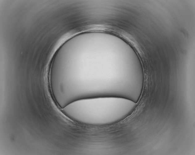 X0000112821475200908210949