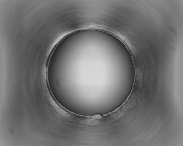 X0000112821476200908210949