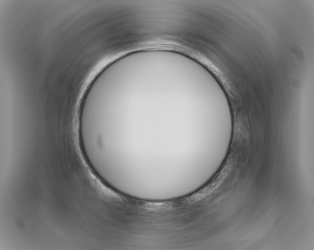 X0000112821478200908210949