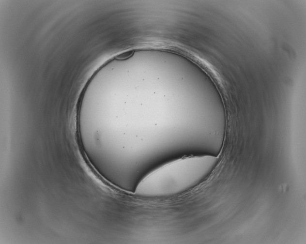 X0000112821479200908210949