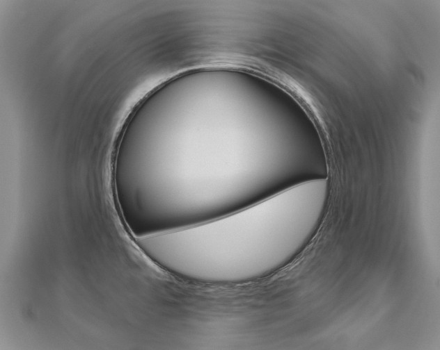 X0000112821480200908210949