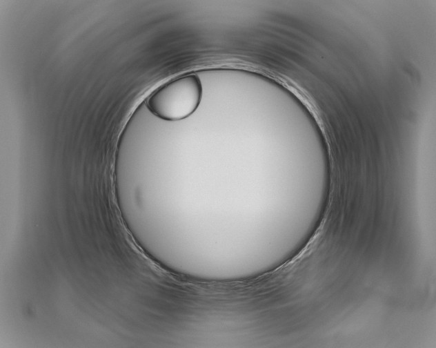 X0000112821481200908210949
