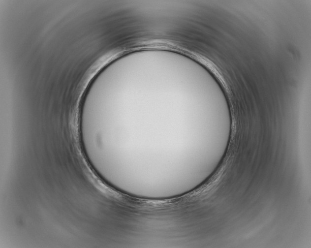 X0000112821482200908210949