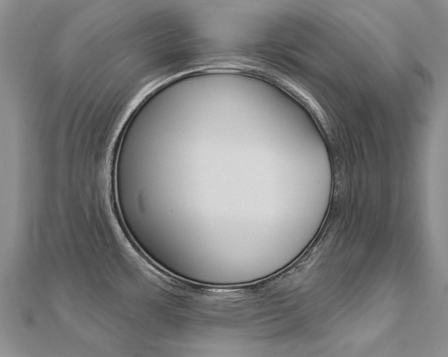X0000112821483200908210949