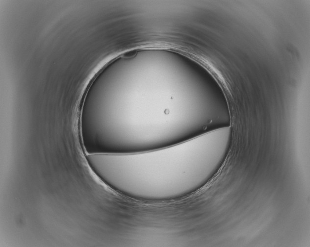 X0000112821484200908210949
