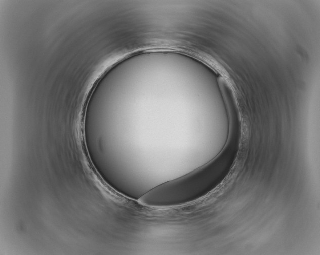 X0000112821485200908210949