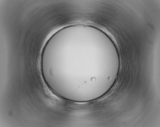 X0000112821486200908210949