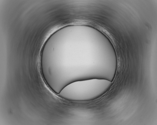 X0000112821487200908210949
