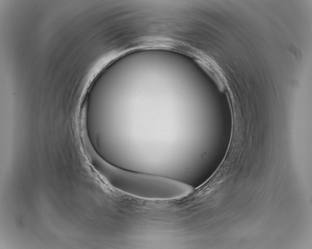 X0000112821488200908210949
