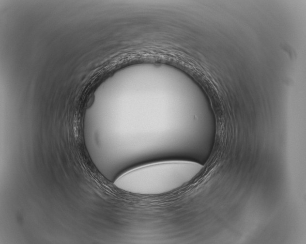 X0000112821490200908210949
