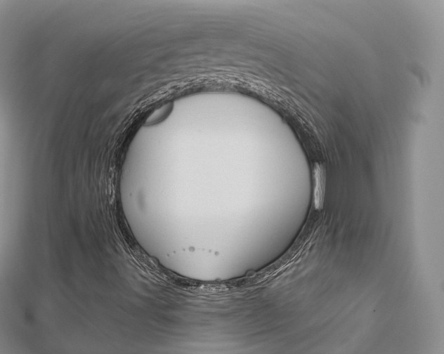 X0000112821491200908210949