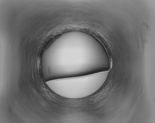 X0000112821492200908210949