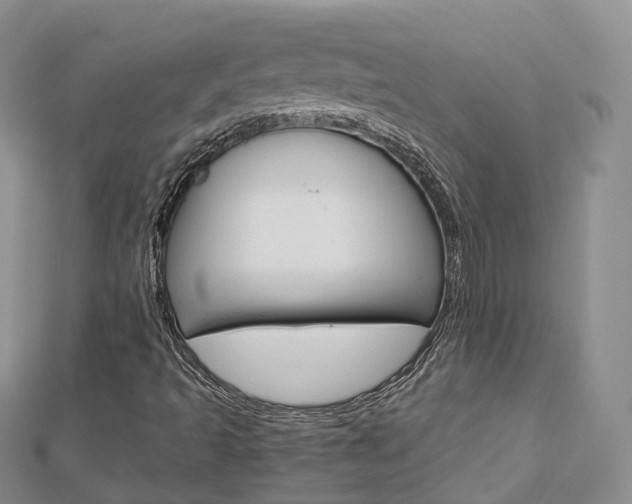 X0000112821493200908210949