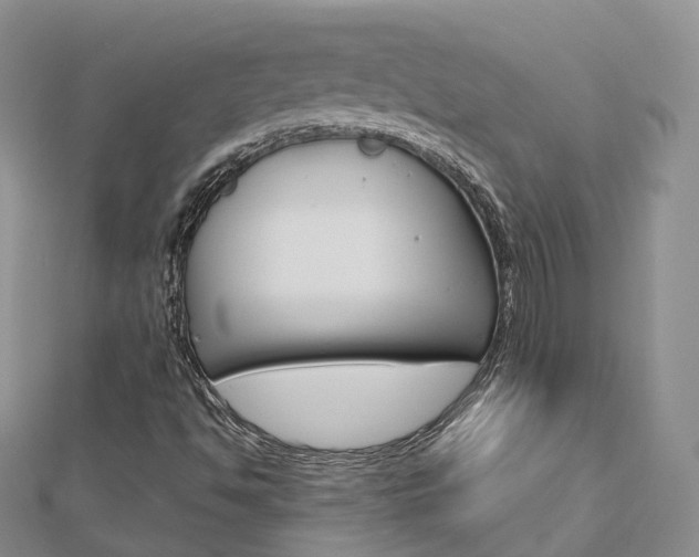 X0000112821494200908210949