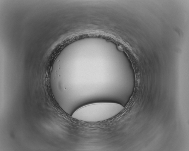 X0000112821495200908210949