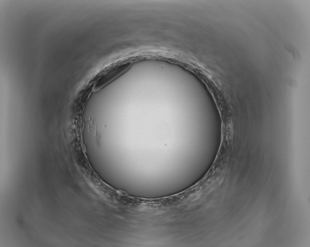 X0000112821496200908210949