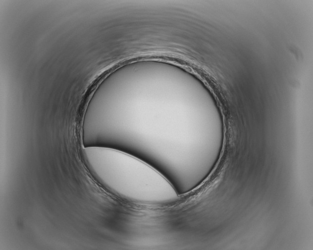 X0000112821497200908210949