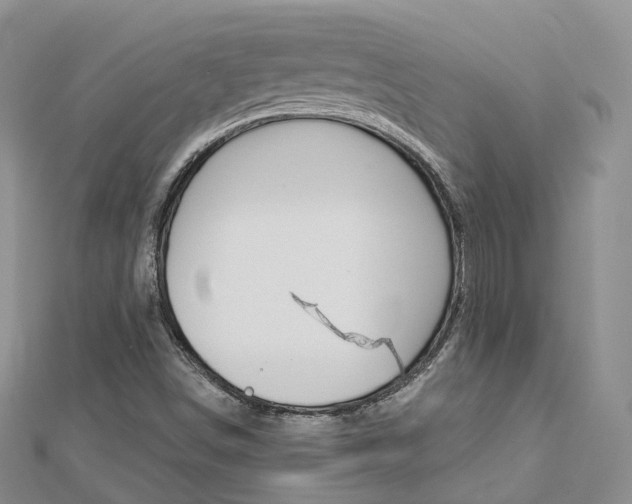 X0000112821498200908210949