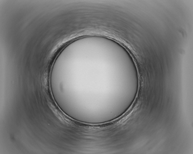 X0000112821499200908210949