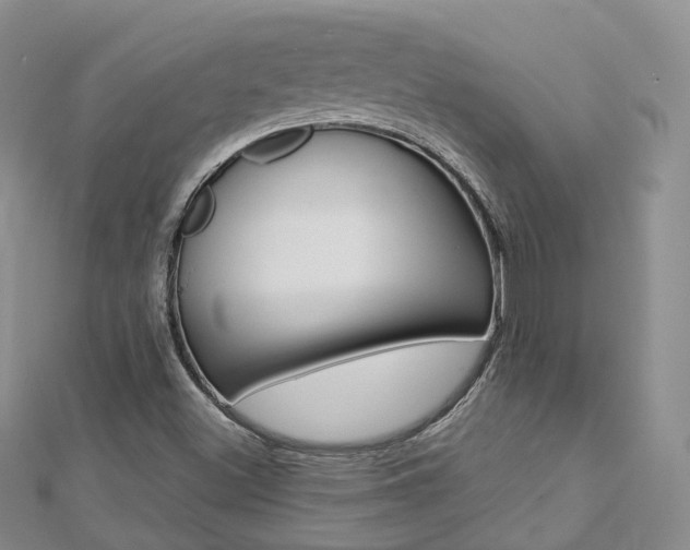 X0000112821500200908210949
