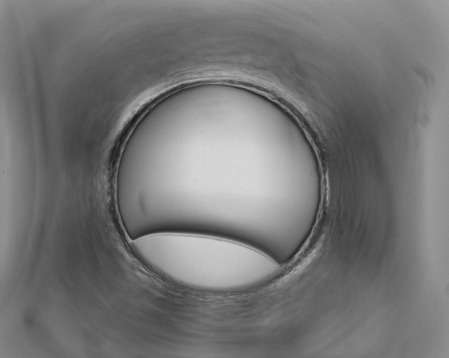 X0000112821501200908210949