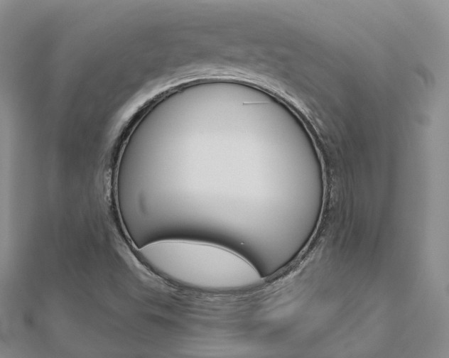 X0000112821503200908210949