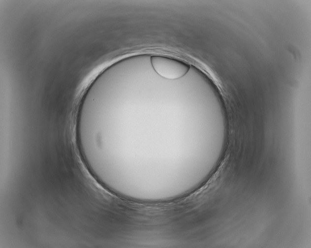 X0000112821504200908210949