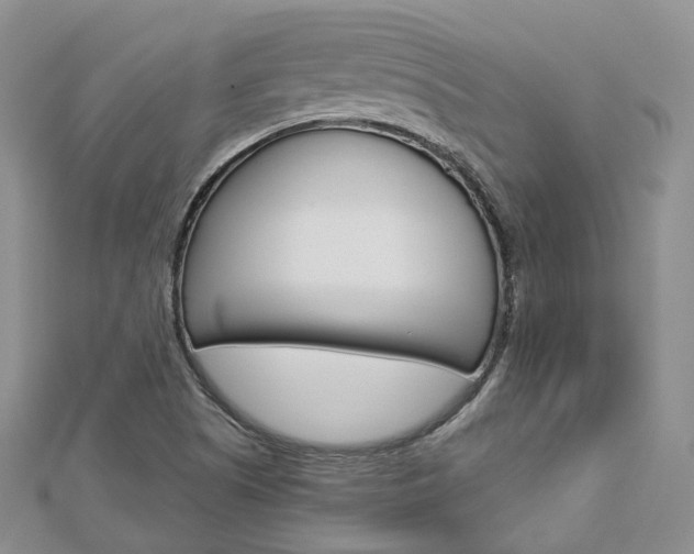 X0000112821505200908210949