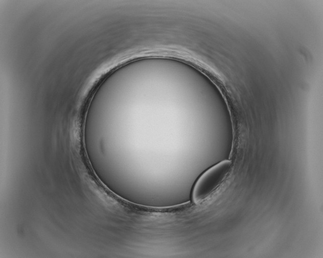X0000112821506200908210949