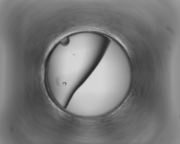 X0000112821508200908210949